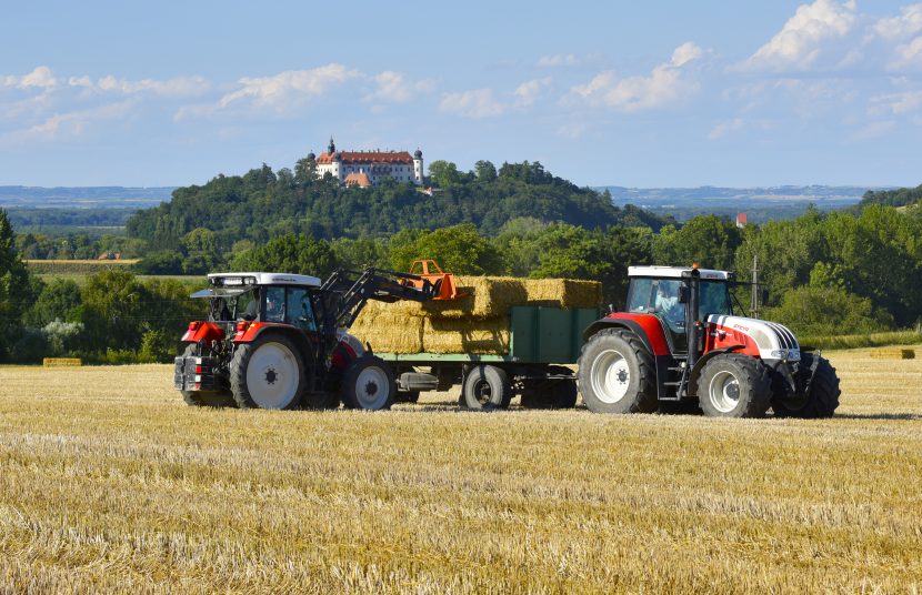 Höchster Genuss mit regionalem Ursprung