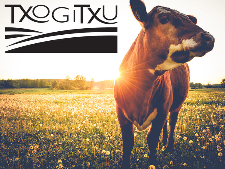 Txogitxu Rindfleisch, Txogitxu Rindfleisch kaufen, Txogitxu Rindfleisch online kaufen, Txogitxu Rindfleisch bestellen, Txogitxu Rindfleisch online bestellen, Txogitxu Rindfleisch online shop