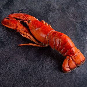 Hummer mit Schale MSC 325 g online kaufen in Premium Qualität. Atlantik Lobster bestellen, Hummerfleisch in Schale online kaufen im Online Shop. 24h Lieferung!
