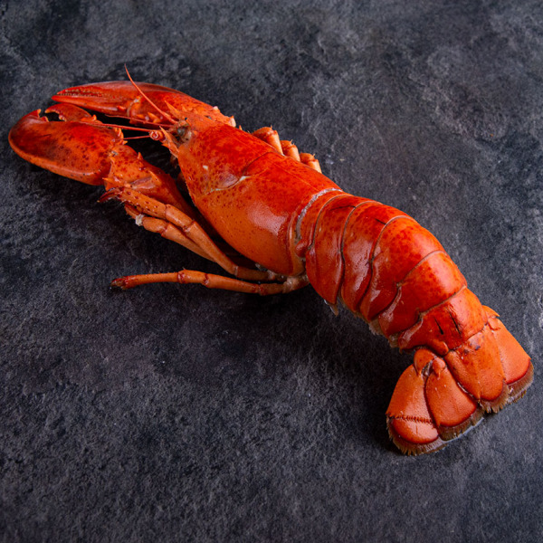 Hummer mit Schale MSC 325 g online kaufen in Premium Qualität. Atlantik Lobster bestellen, Hummerfleisch in Schale online kaufen im Online Shop. 24h Lieferung!