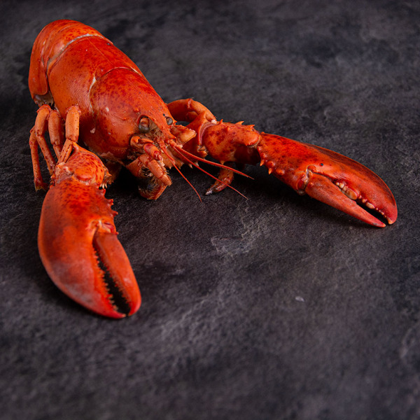 Hummer mit Schale MSC 325 g online kaufen in Premium Qualität. Atlantik Lobster bestellen, Hummerfleisch in Schale online kaufen im Online Shop. 24h Lieferung!