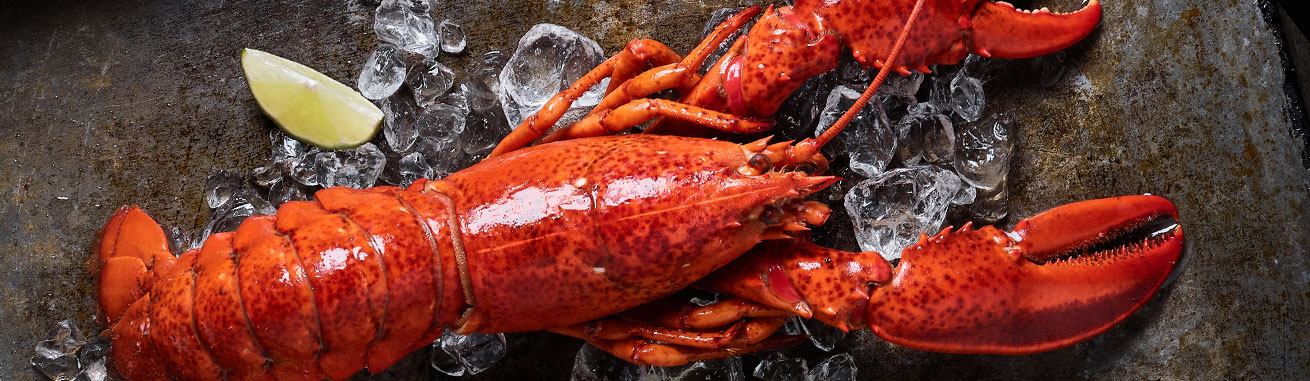 Hummerschwänze kaufen. Hummerschwänze mit Schale MSC 198 g online kaufen. Hohe Qualität, Atlantik Lobsterschwänze, Hummerfleisch. Lobster Schwänze, Krabbe Schwänze, Schalentier Schwänze, Krustentier