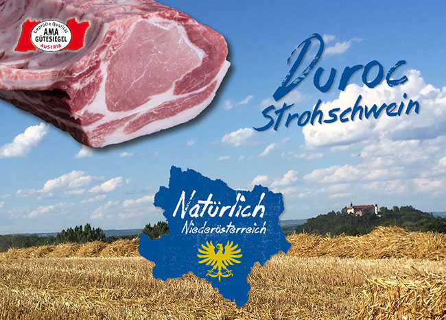 Duroc, Duroc Schweine, Duroc Schwein, Duroc Schwein kaufen, Duroc Fleisch, Duroc-Schweine kaufen Österreich, Duroc Schweinefleisch